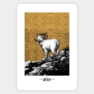 aries Sticker